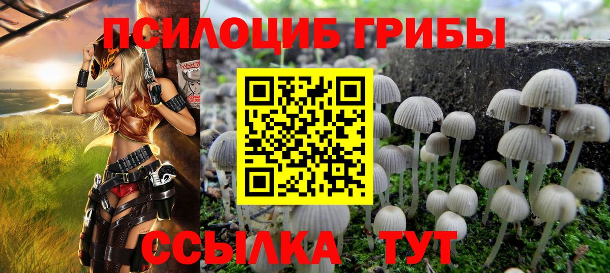 Псилоцибиновые грибы Magic Shrooms Амурск