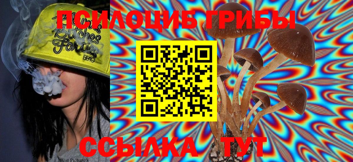 купить  цена  Вход с VPN  Амурск  Псилоцибиновые грибы Psilocybe 