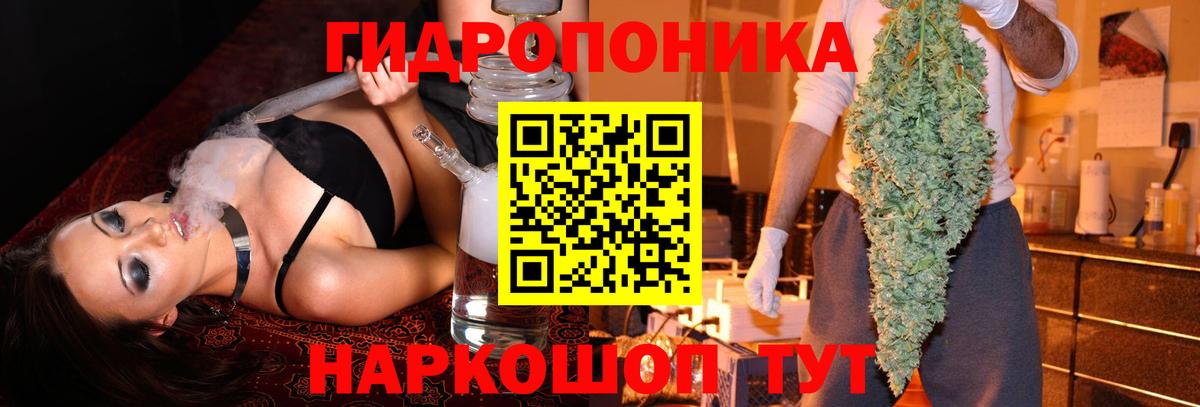 Канабис Bruce Banner  Вход с VPN  Амурск  Конопля Amnesia  Бошки Шишки планчик  Бошки марихуана гибрид 